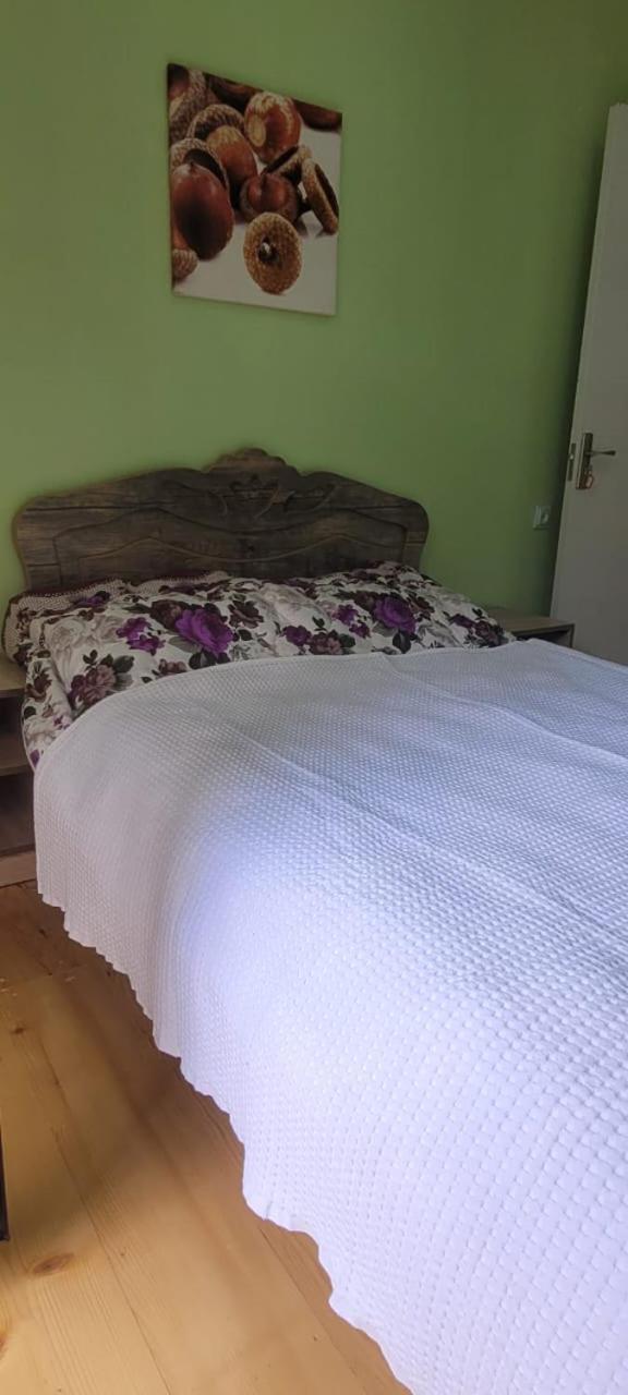 Guest House Guli Mestia Rom bilde
